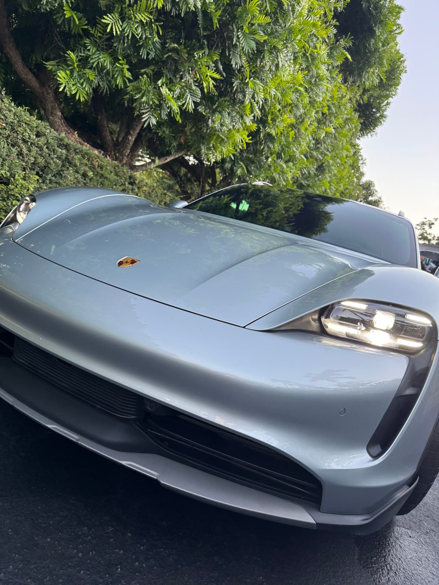 Light blue sports sedan hood and bumper, freshly polished