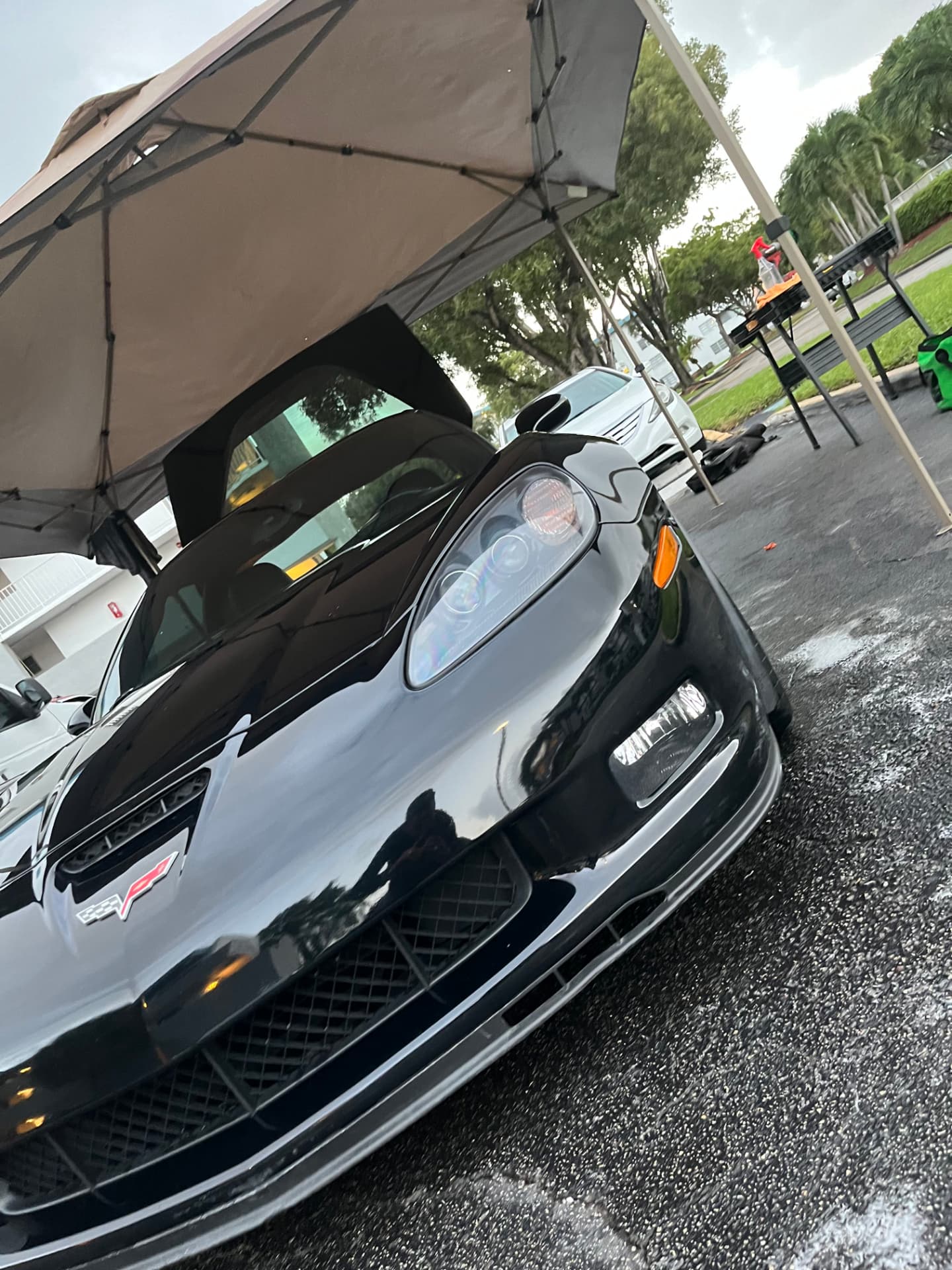 Black sports car nose and headlight, finish deep and wet-looking