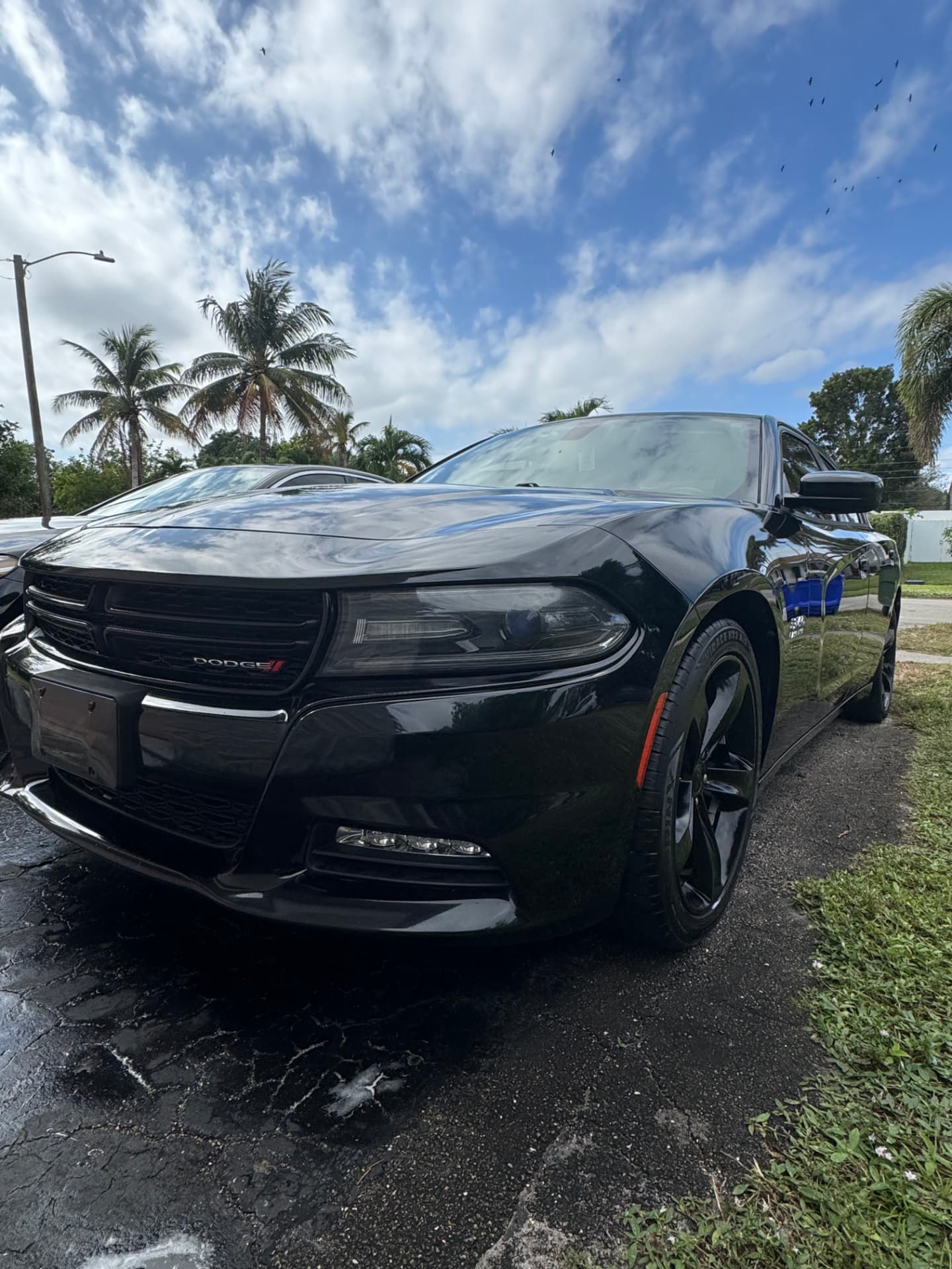 Black sedan front end, paint glossed to a mirror