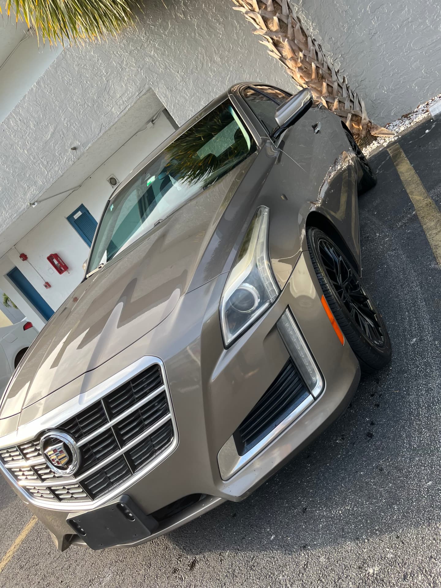 Champagne sedan brought back to a wet-look shine