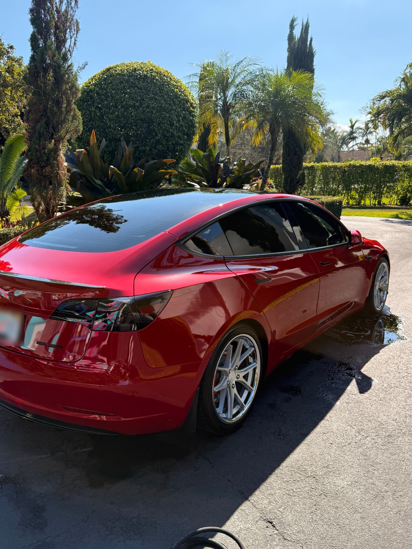 Glossy red sedan freshly detailed and parked in a sunny South Florida driveway